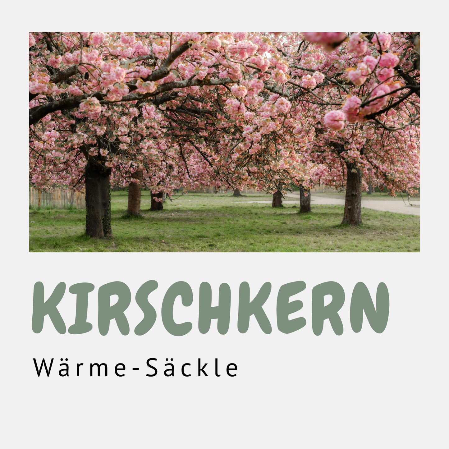 Kirschkern Wärme-Säckle