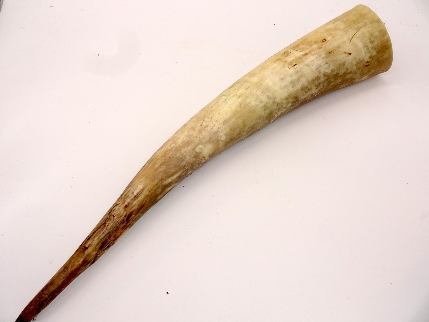 Dekohorn