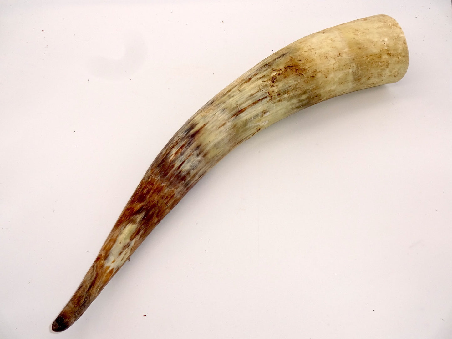 Dekohorn