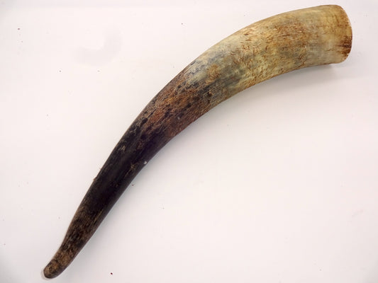 Dekohorn