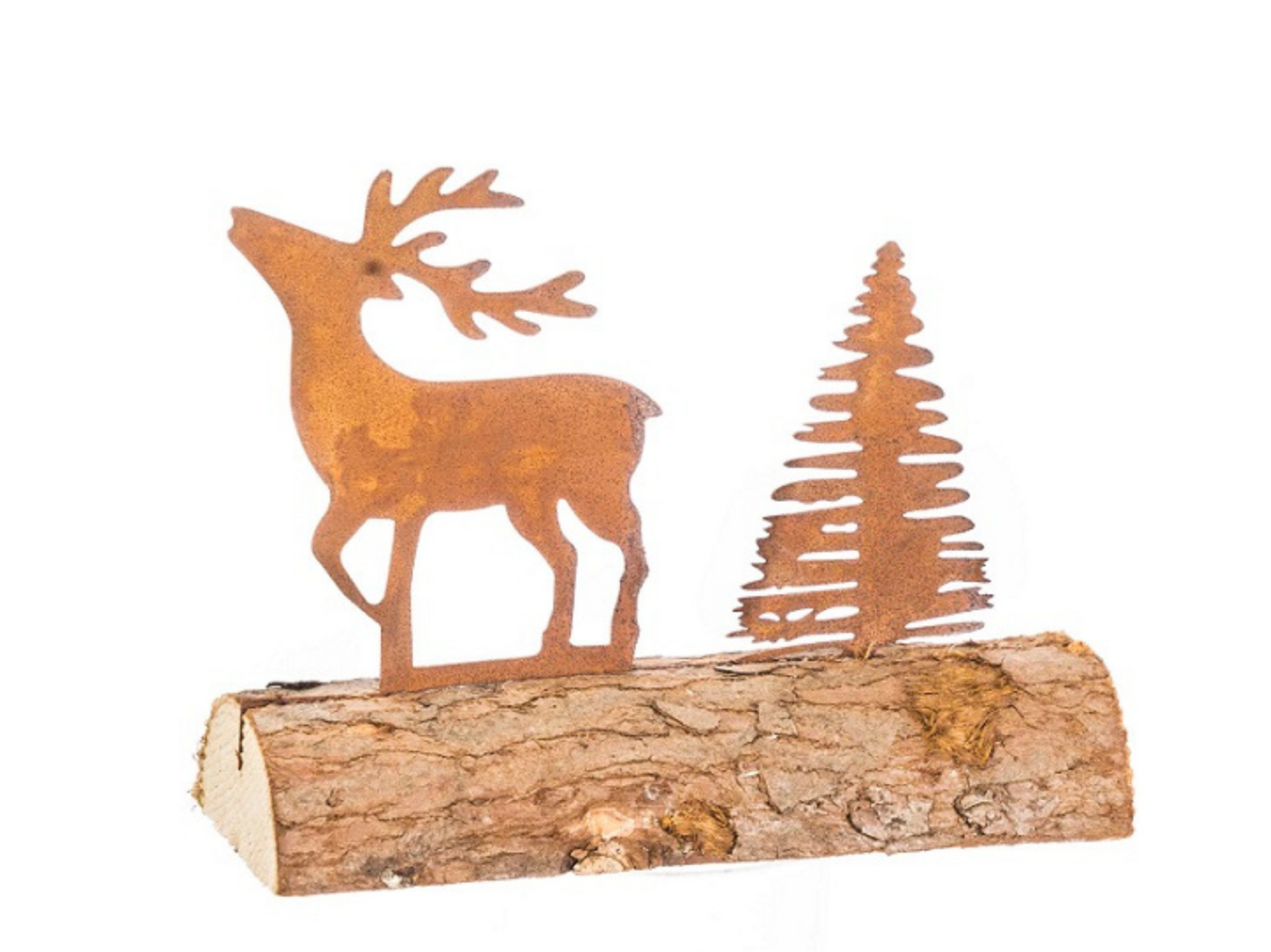 Standbild röhrender Hirsch